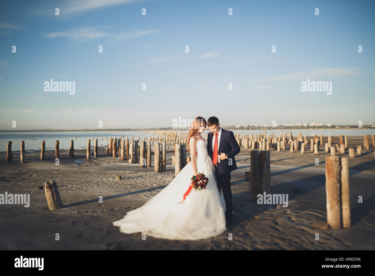 Elegante stilvolle glückliche Brautpaar, Braut, wunderschöne Bräutigam auf dem Hintergrund des Meeres und des Himmels Stockfoto