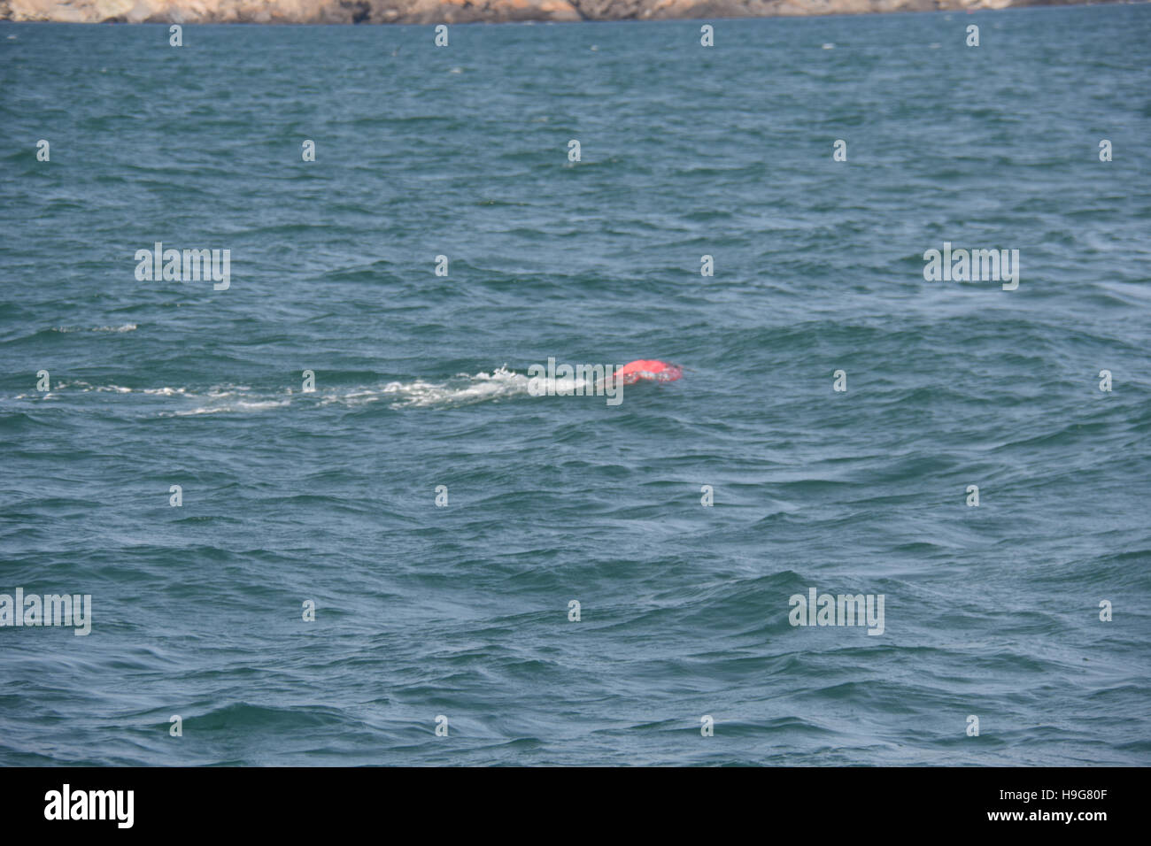 Tide aus Milford Haven Kräfte ein Lobster Pot unterwasser Erstellen einer Navigation Gefahr in das ruhige Meer Boje Stockfoto