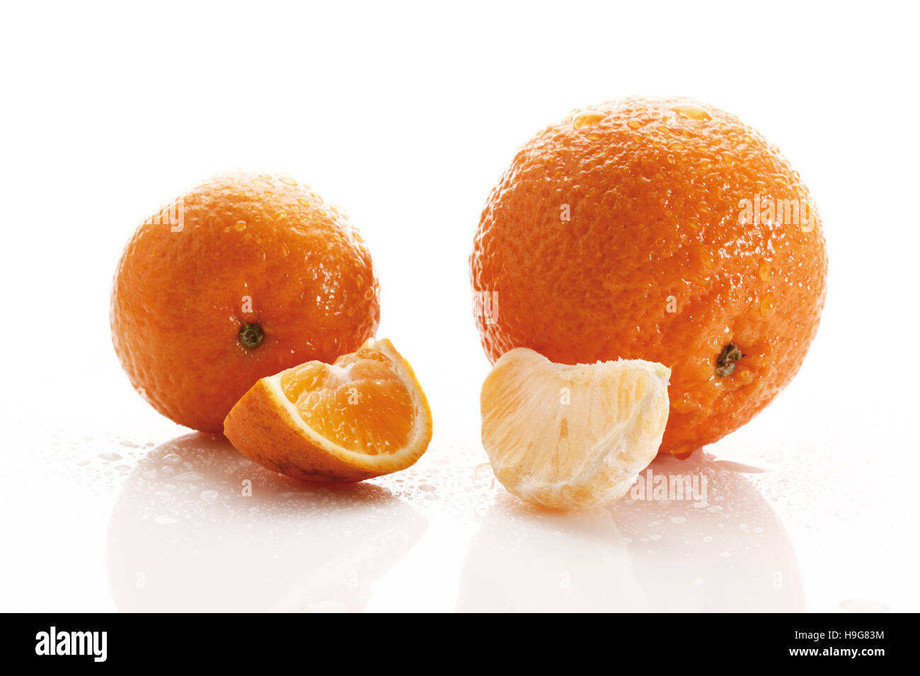 Mandarine (Citrus Reticulata) und einer Clementine (Citrus × Aurantium) Stockfoto