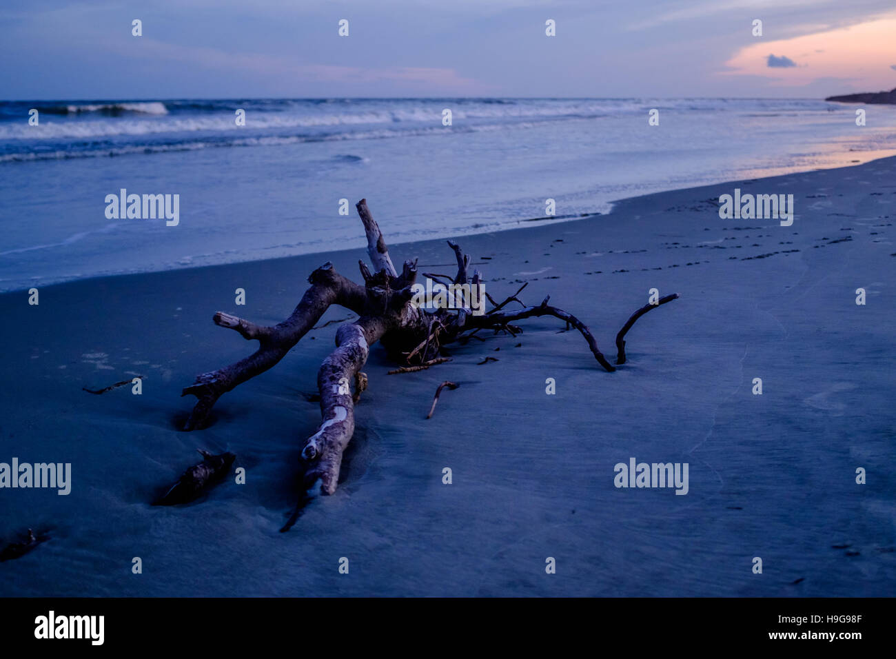 Blick auf das Meer in Seabrook Island, South Carolina, USA Stockfoto