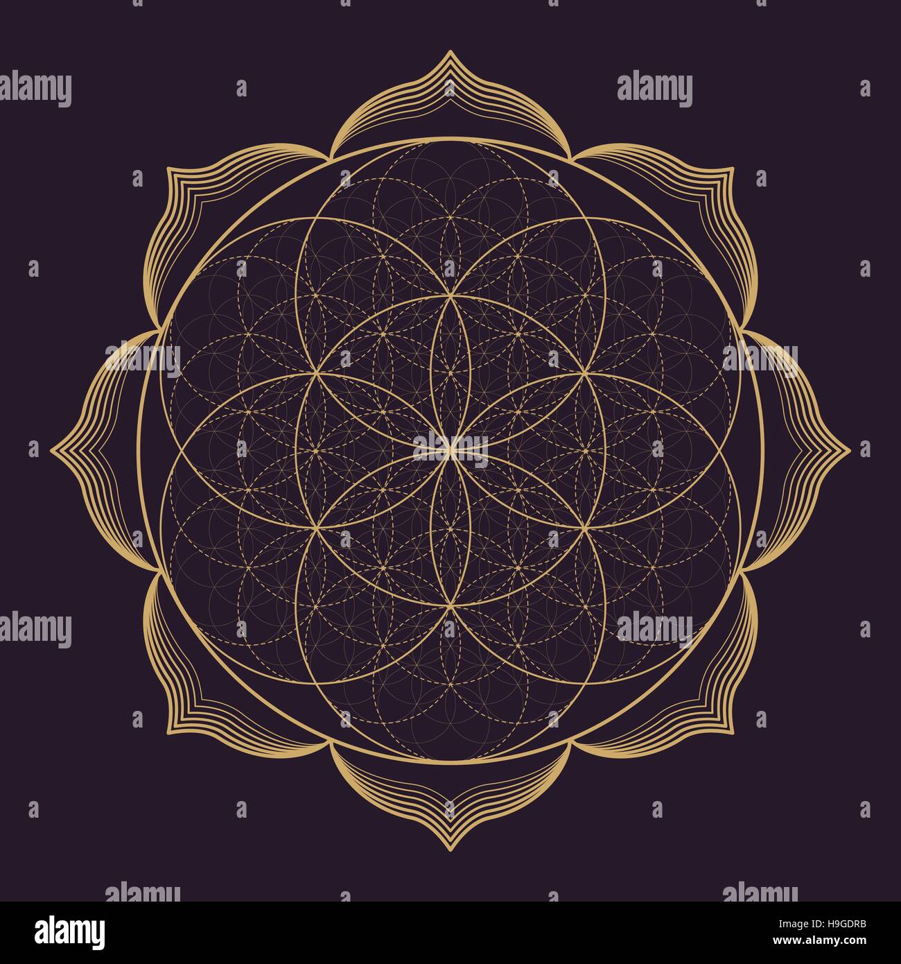 gold monochrome Gestaltung abstrakte Mandala Heilige Geometrie Vektorgrafik Samen Blume des Lebens isoliert Lotus braun dunkel Stock Vektor