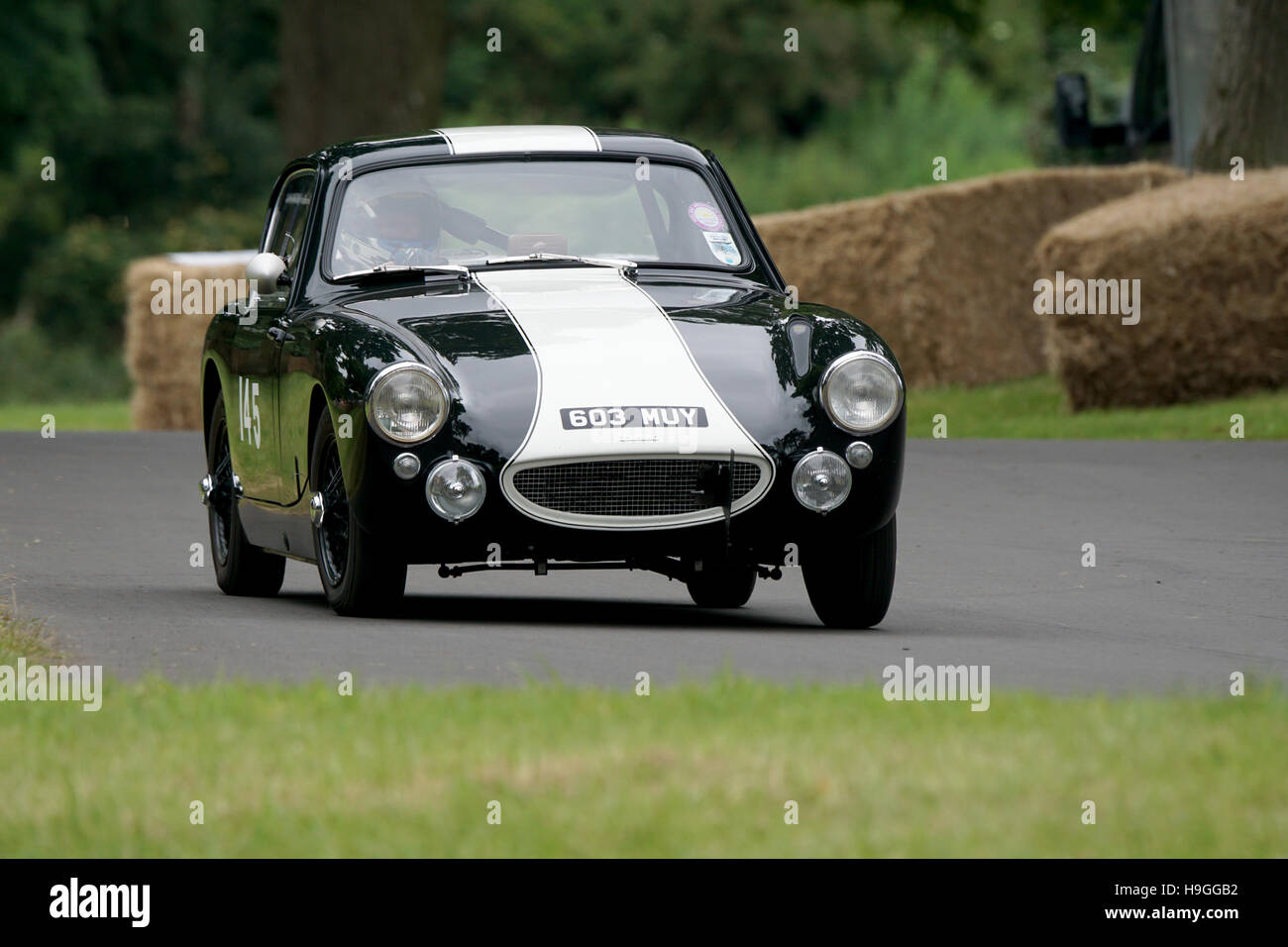 Simon Durling an Bord ein 1960 Austin Healey Sebring Sprite am Chateau Impney Hillclimb 2016 Stockfoto