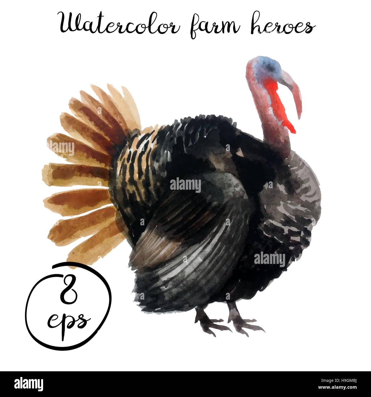Vektor Bauernhof Geflügel Aquarell isoliert auf weißem Hintergrund. Vektor-Türkei für Kunst, Logo, Banner, Emblem und andere Stock Vektor