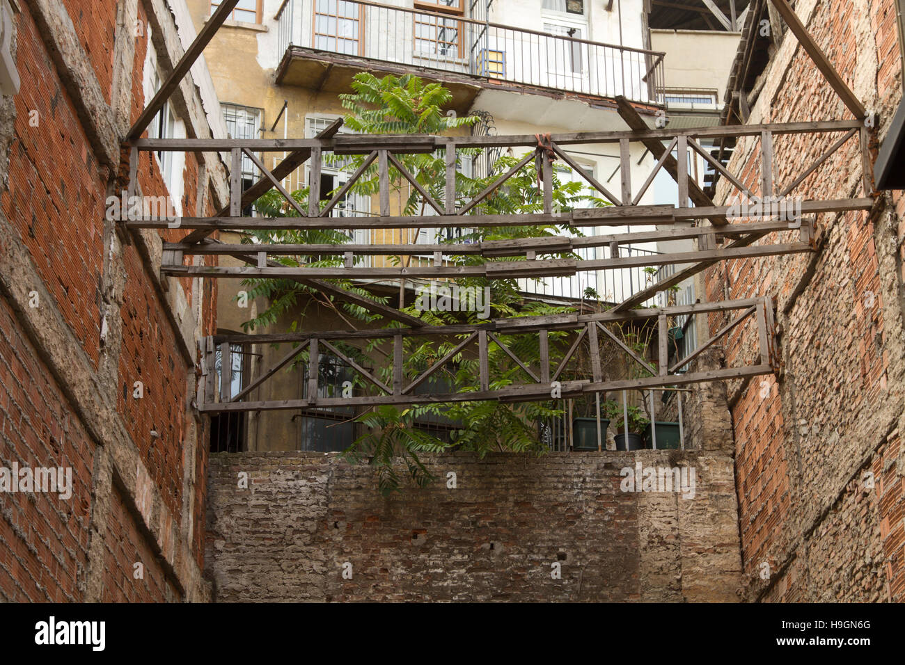 Alten Backsteingebäude mit hölzernen Bulks, Fenstern und Baum Stockfoto