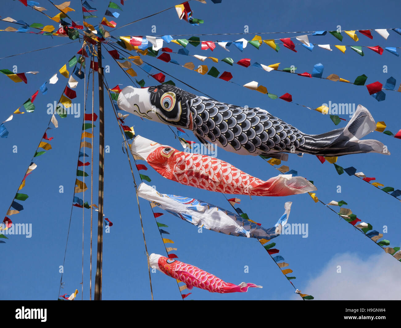 Koinobori - Fisch geformt japanische Drachen. Stockfoto