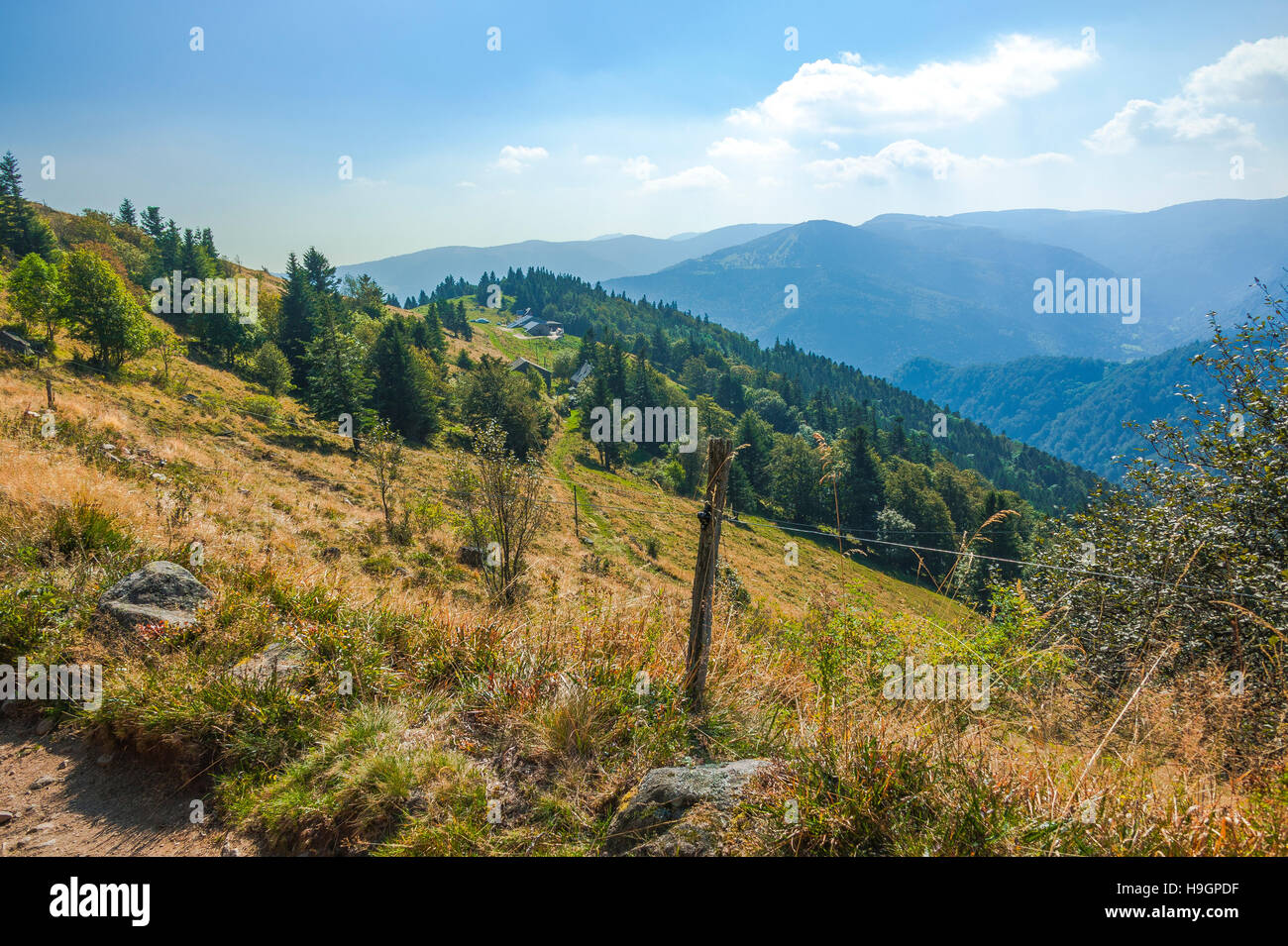 Landschaft des Ballons des Vosges Nature Park, auf dem Hof und Gästehaus Schiessrothried, Elsass, Frankreich Stockfoto