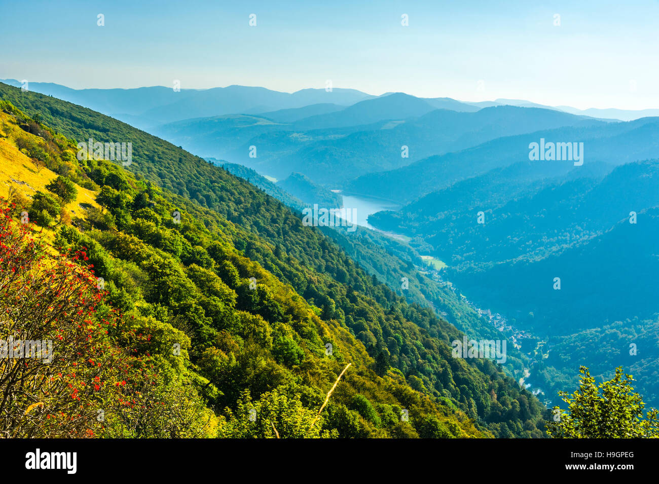 Lake Kruth-Wildenstein, gesehen von der romantischen Straße Route des Crêtes der Vogesen, die Ballons des Vosges Naturpark, Elsass, Frankreich Stockfoto