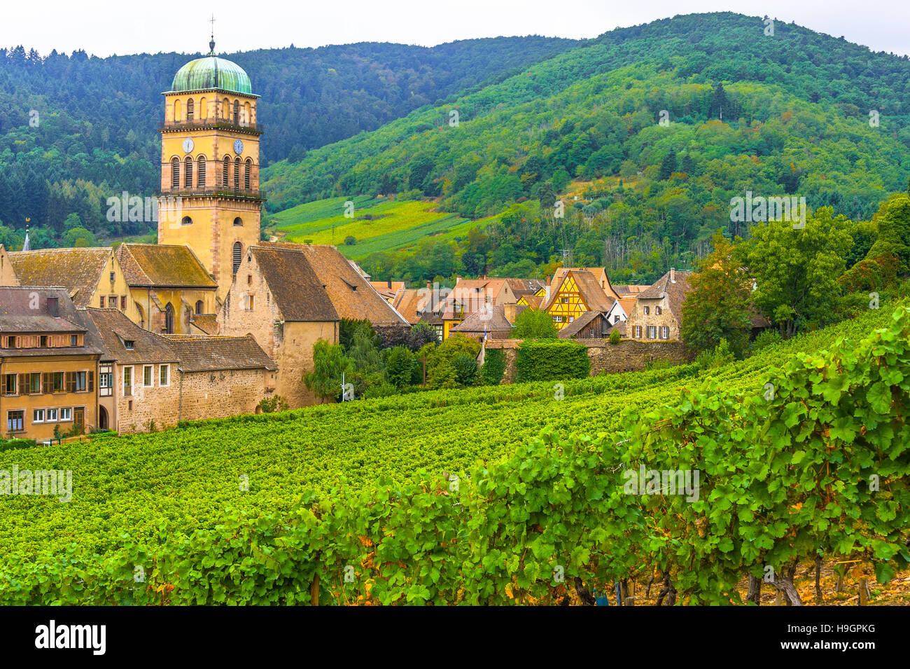 Kaysersberg, malerisches Dorf, Route des Weinstocks Elsass, Elsass, Frankreich Stockfoto