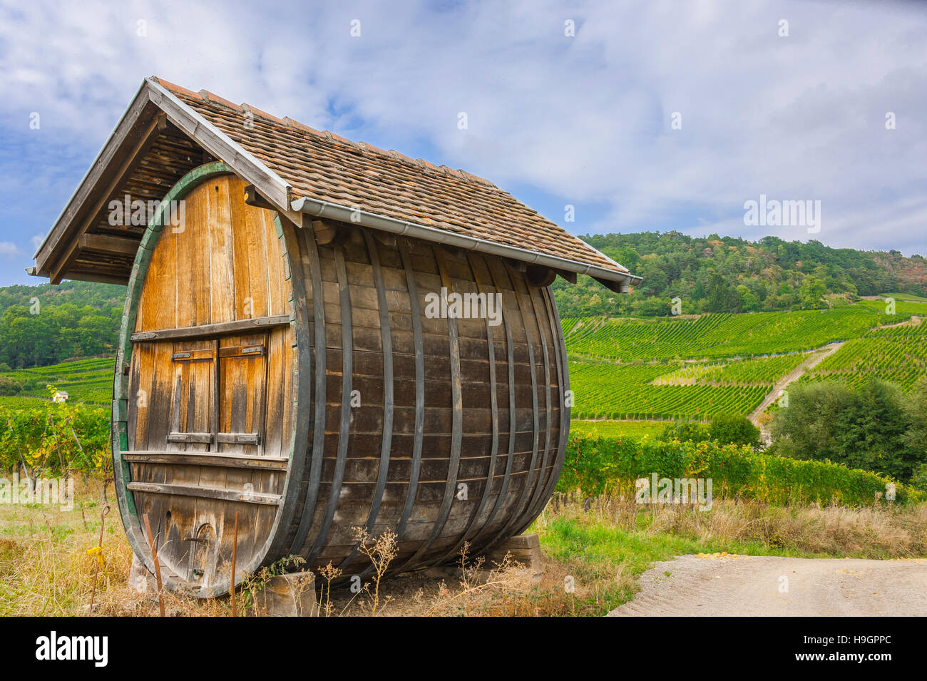 Großer Wein Fass mit Weinbergen, malerischen Landschaft der Weinberge, Route der Rebe Elsass, Elsass, Frankreich Stockfoto