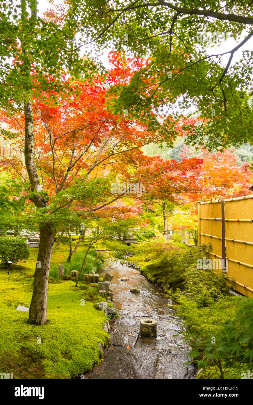 Japanischer Garten im Herbst Kyoto Japan Stockfoto