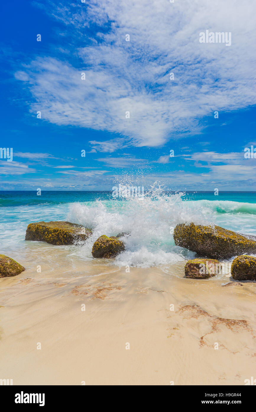 Wellen an die Strände der Seychellen-Insel Stockfoto