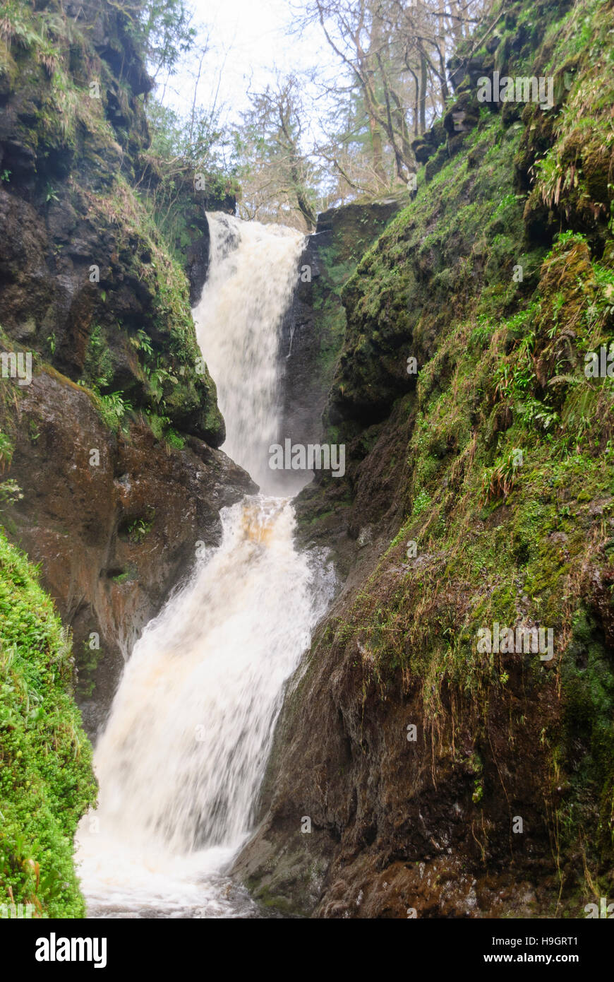 Wasserfall im Glenarriff Forest Park, eines der sieben Glens of Antrim, County Antrim, Nordirland Stockfoto