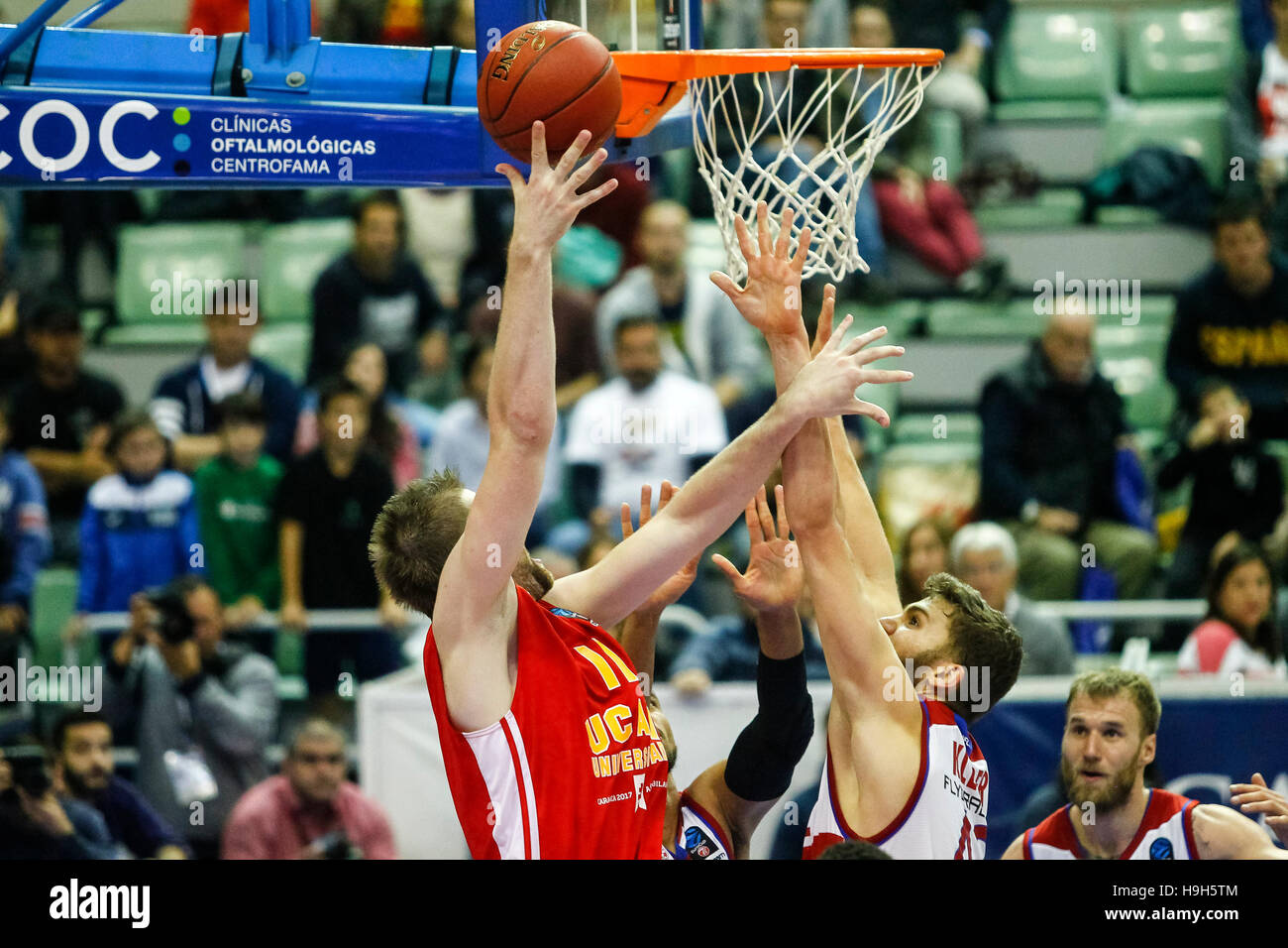 Murcia, Spanien. 23. November 2016. EuroCup Basketball-match zwischen Ucam Murcia CB und FC Bayern München im Palacio de Los Deportes in Murcia. Bildnachweis: ABEL F. ROS/Alamy Live-Nachrichten Stockfoto