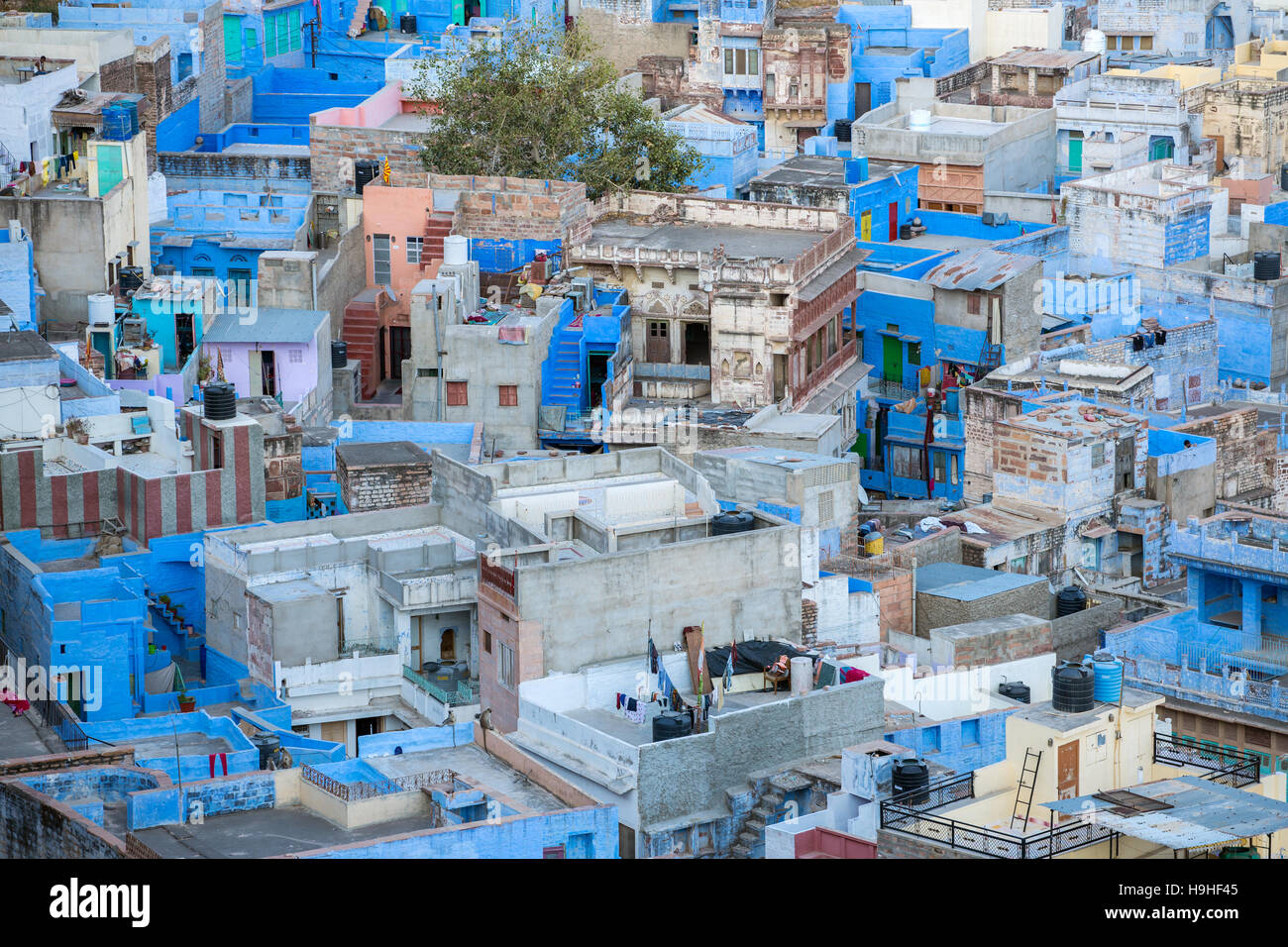 Jodhpur, die blaue Stadt gesehen vom Mehrangarh Fort, Rajasthan, Indien, Asien Stockfoto