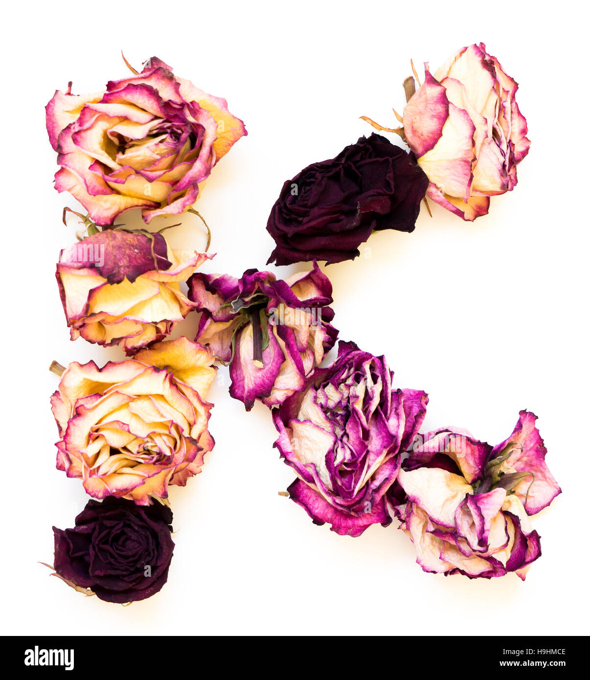 Rose getrocknet Initialen Buchstaben K. Stockfoto