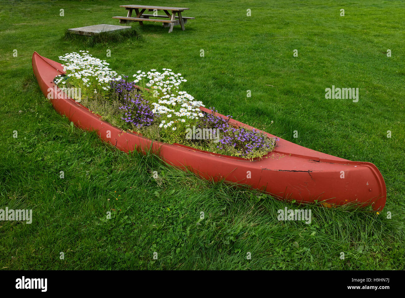 Kanu, voller Pflanzen und Blumen als Gartendekoration Stockfoto