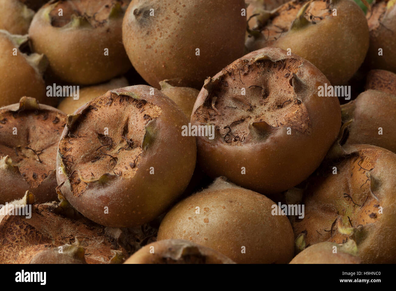 Frische gepflückte Mispeln Nahaufnahme full-frame Stockfoto