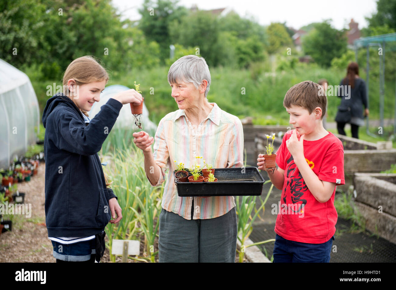 Ein Freiwilliger im Golden Hill Community Garten in Bristol zeigt Kinder einige Sämlinge UK Stockfoto