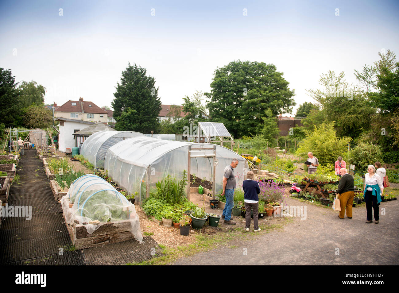 Das Golden Hill Gemeinschaftsgarten in Bristol UK Stockfoto