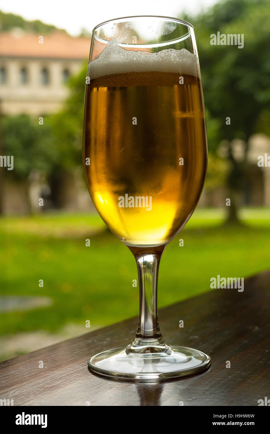 Glas Bier auf dem Tisch in einem Garten Stockfoto