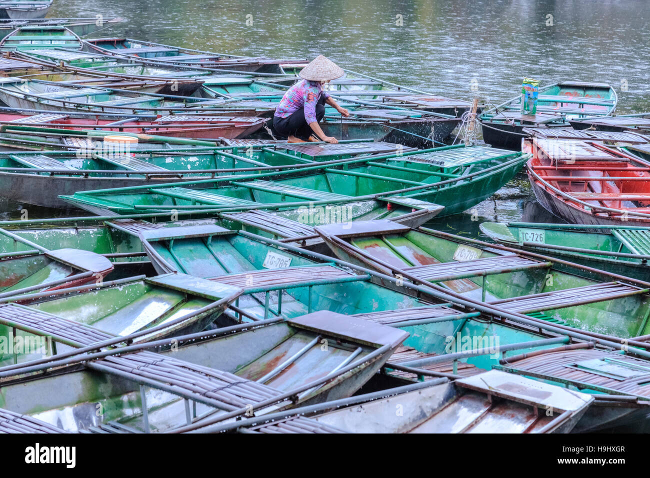 Tam Coc, Ninh Binh, Vietnam, Asien Stockfoto