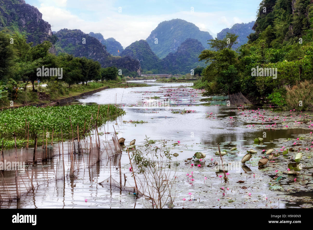 Ninh Binh Hoa Lu, Vietnam, Asien Stockfoto