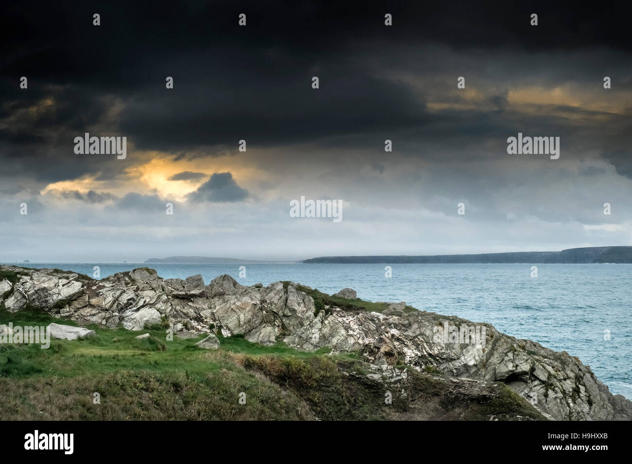 Angus nähert sich die Küste von North Cornwall. Stockfoto