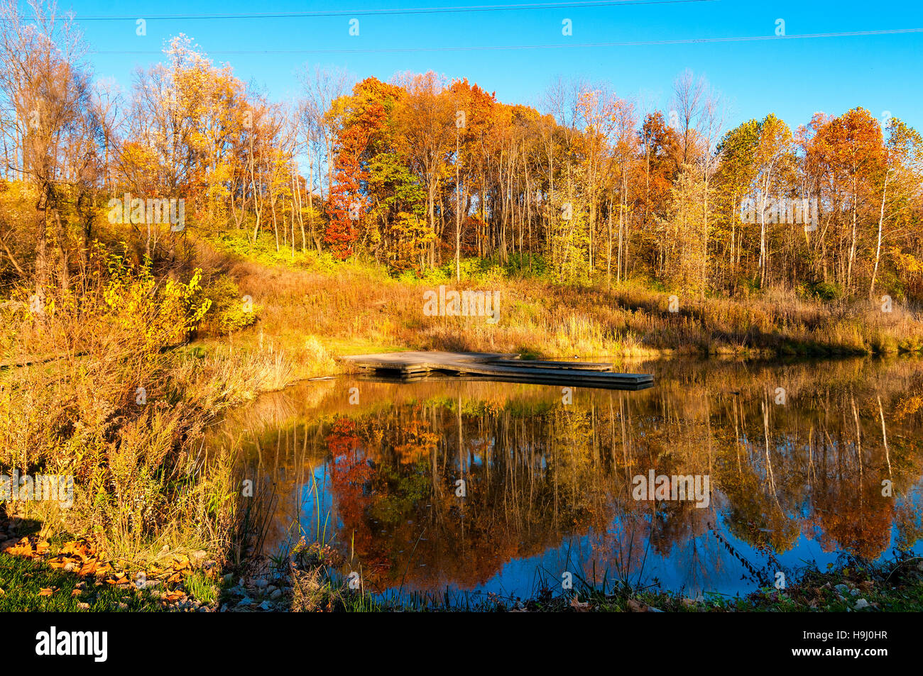 Ein altes Bootsdock auf einem kleinen Rückstau der Ohio Canal im Spätherbst Stockfoto