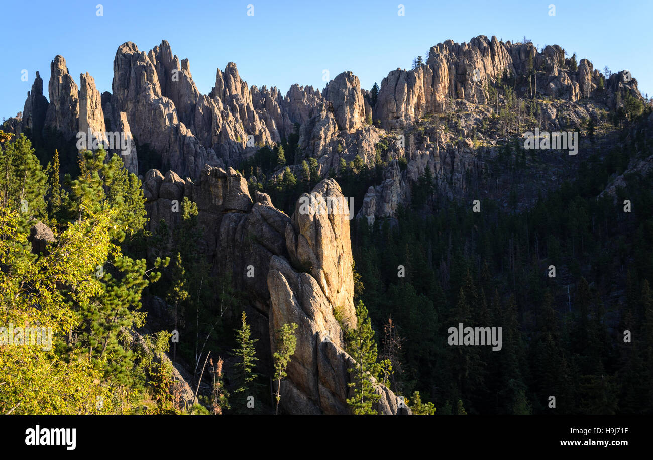 Black Hills Stockfoto