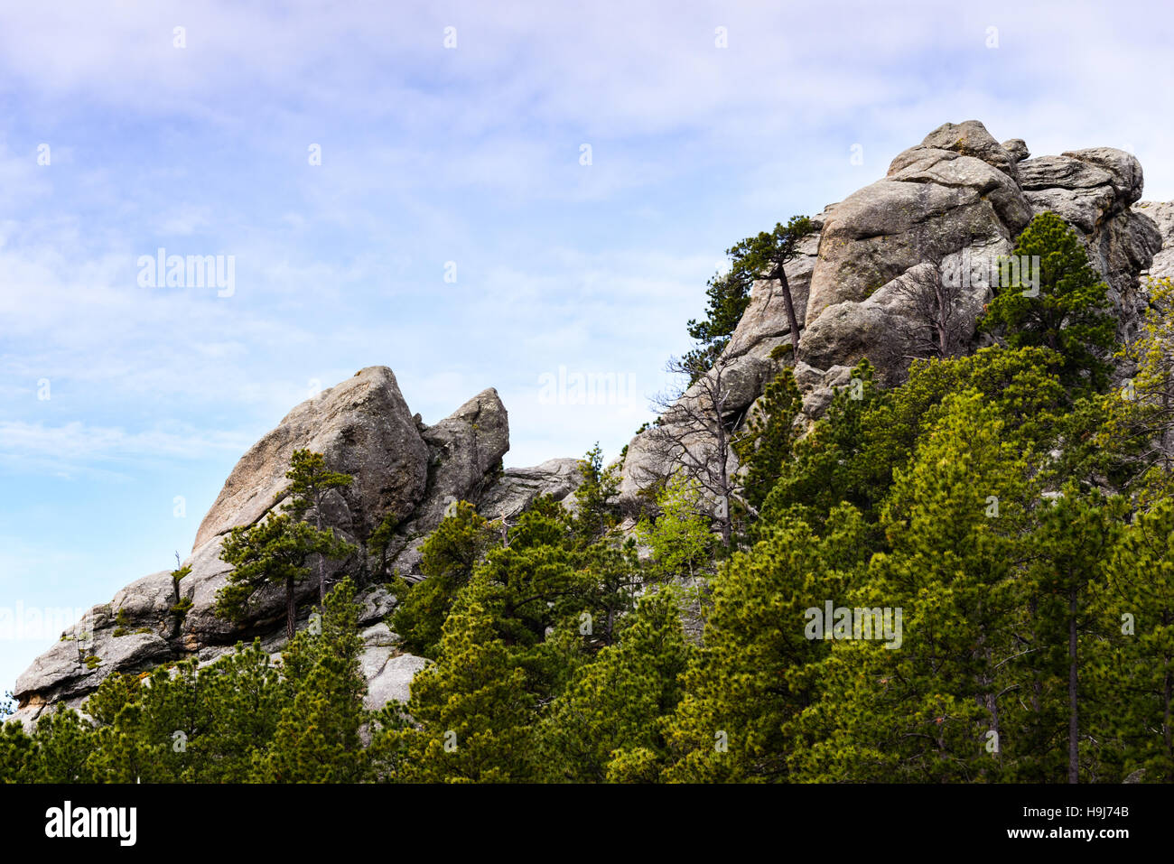 Das Mount Rushmore National Memorial Stockfoto