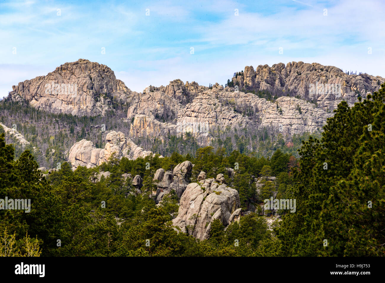 Black Hills Stockfoto