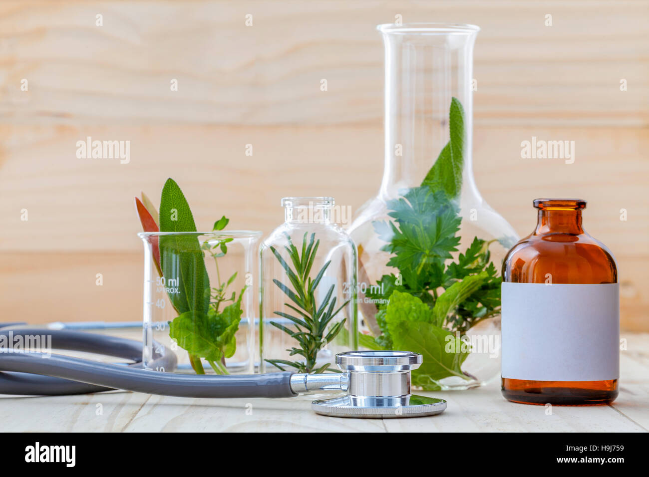 Alternatives Gesundheits-Konzept. Frische Kräuter, grüne Minze, Rosmarin Stockfoto