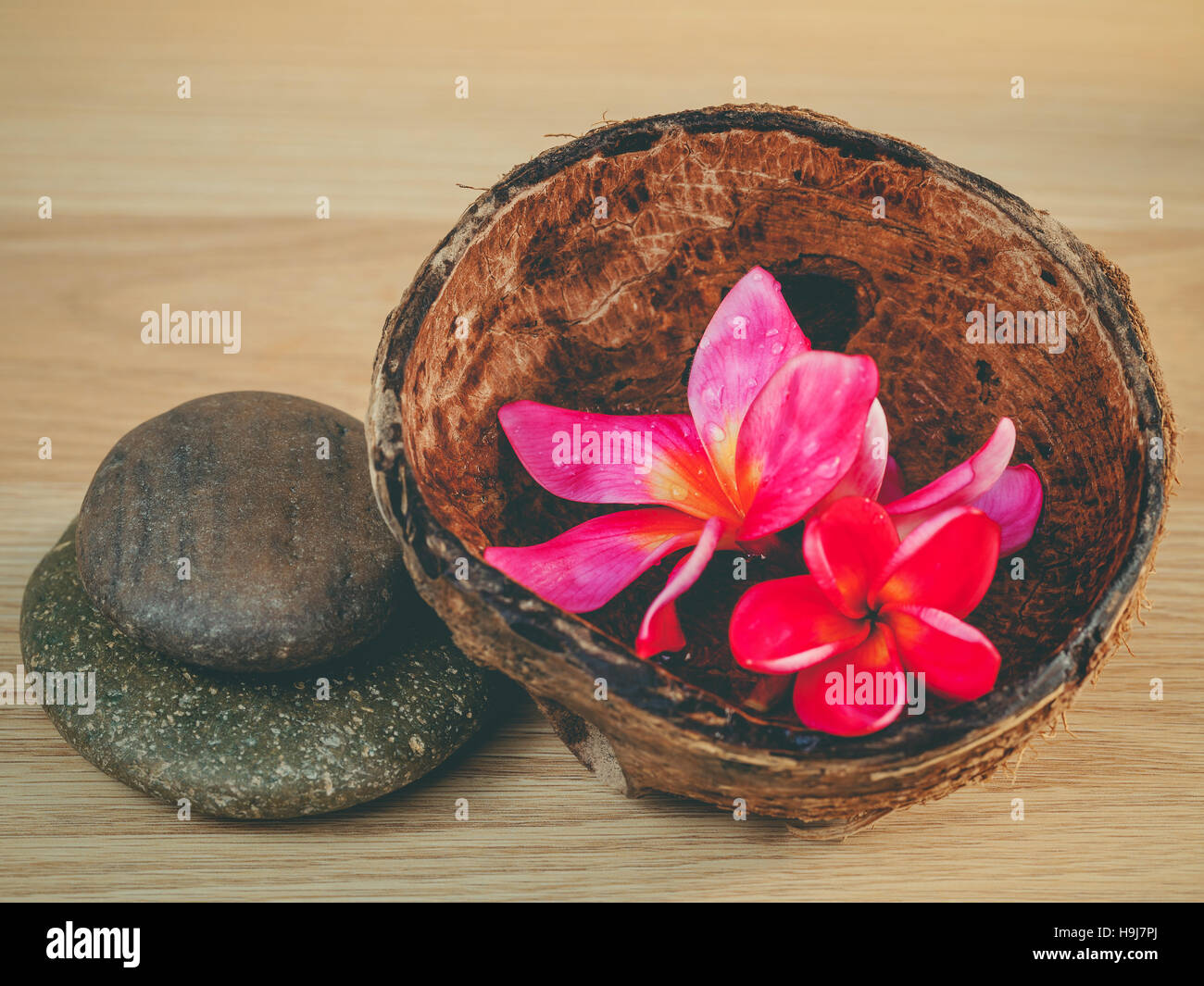 Duftöl in der Kokosnussschale mit Spa-Steinen und frangipani Stockfoto