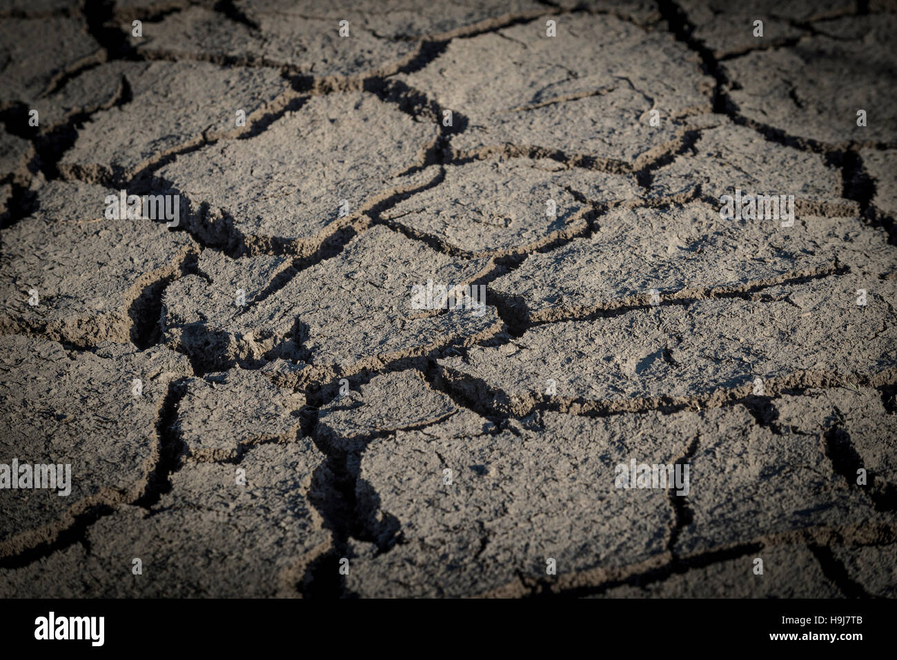 Dürre, trockene land Stockfoto