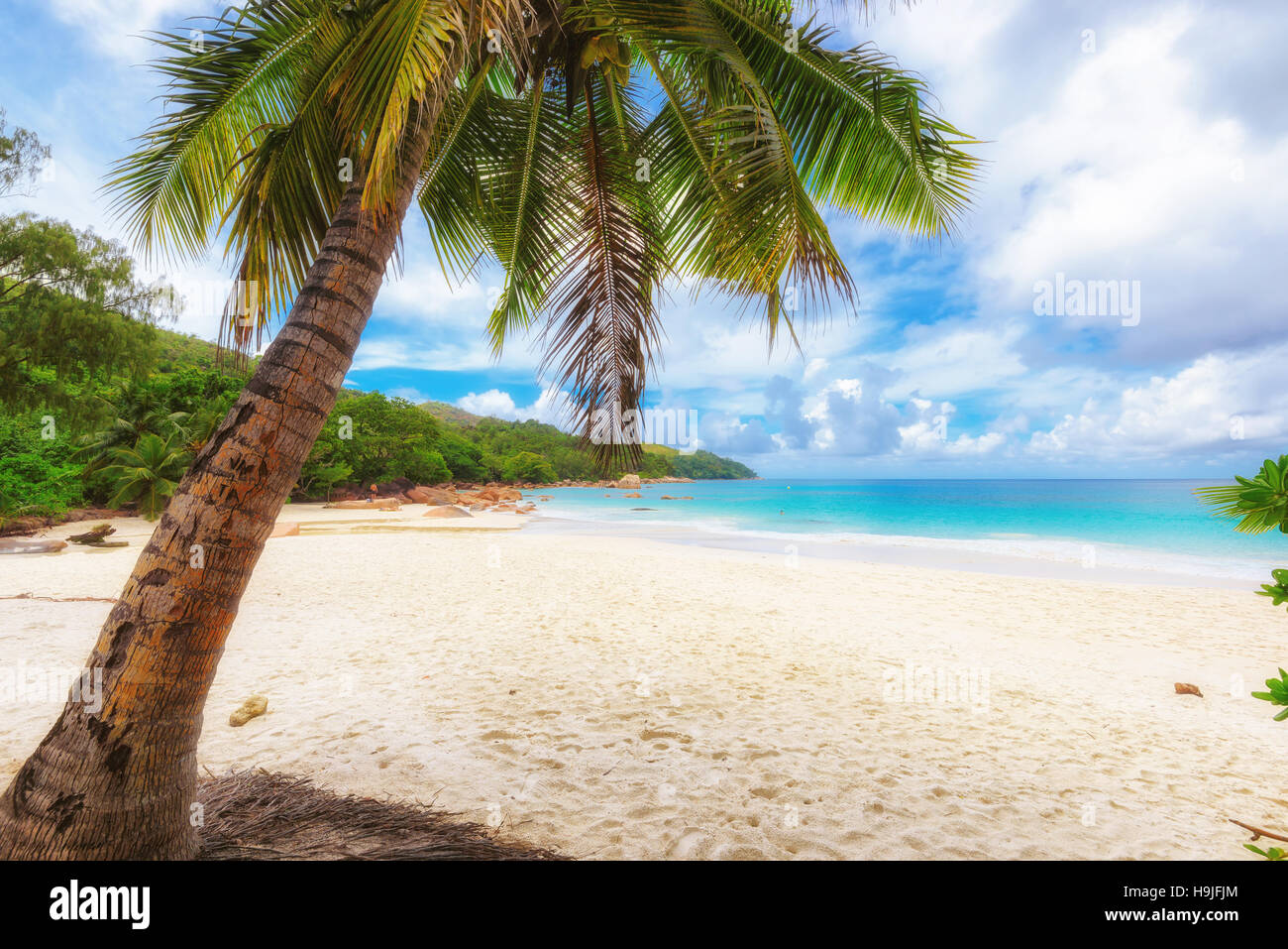 Palm Beach - Urlaub Ferien Hintergrund Stockfoto