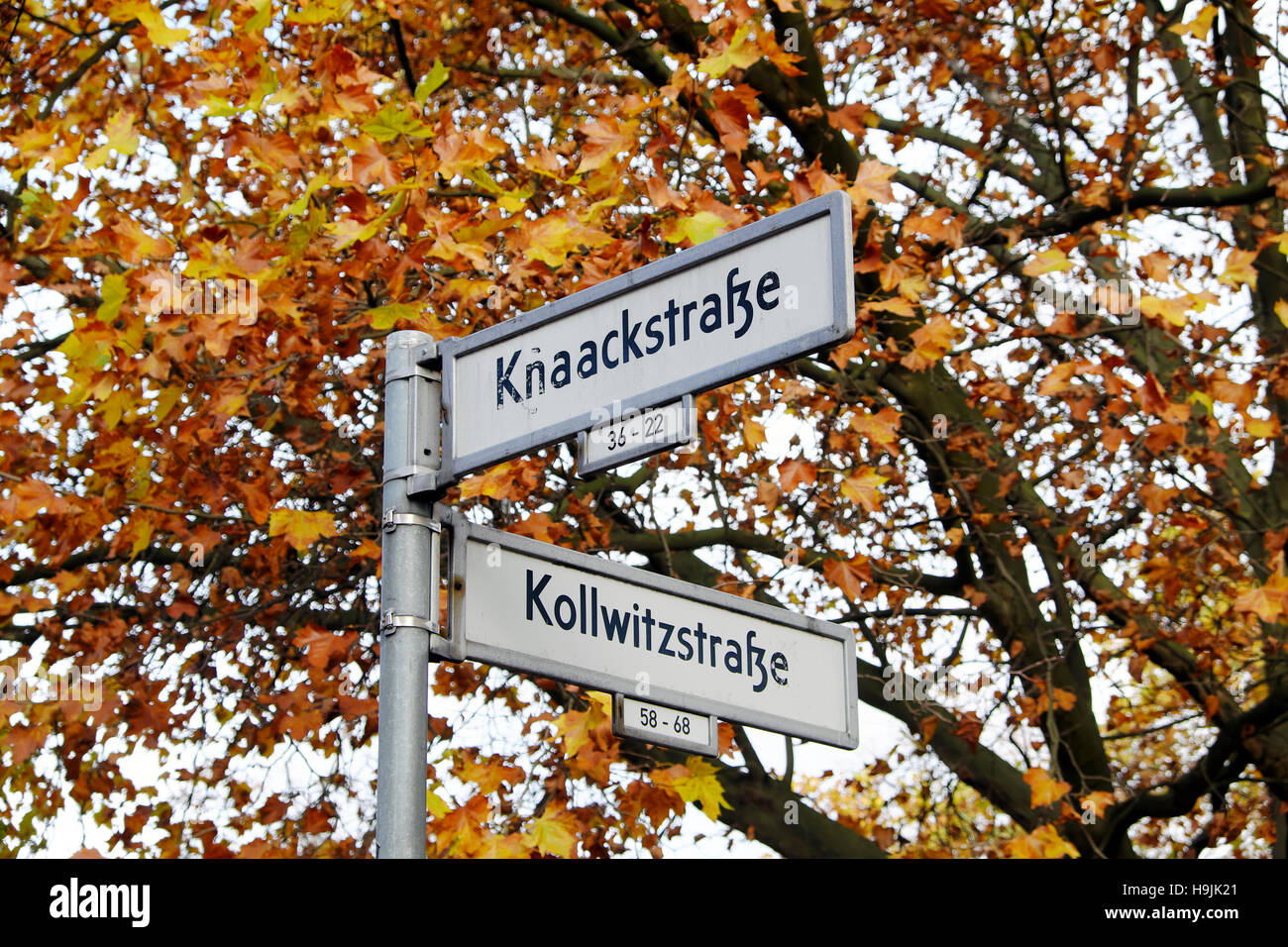 Berliner Straßenschilder Knaackstraße Kollwitzstraße im Prenzlauer Berg mit Herbstlaub und Farbe auf Baum Deutschland, Europa, EU KATHY DEWITT Stockfoto