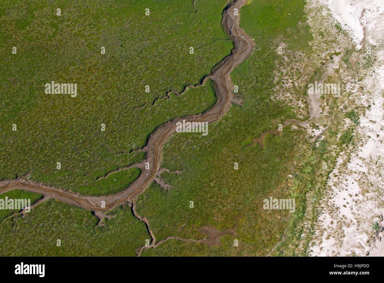 Luftaufnahme über Salzwiesen bei Ebbe, Nationalpark Wattenmeer, Schleswig-Holstein, Deutschland Stockfoto
