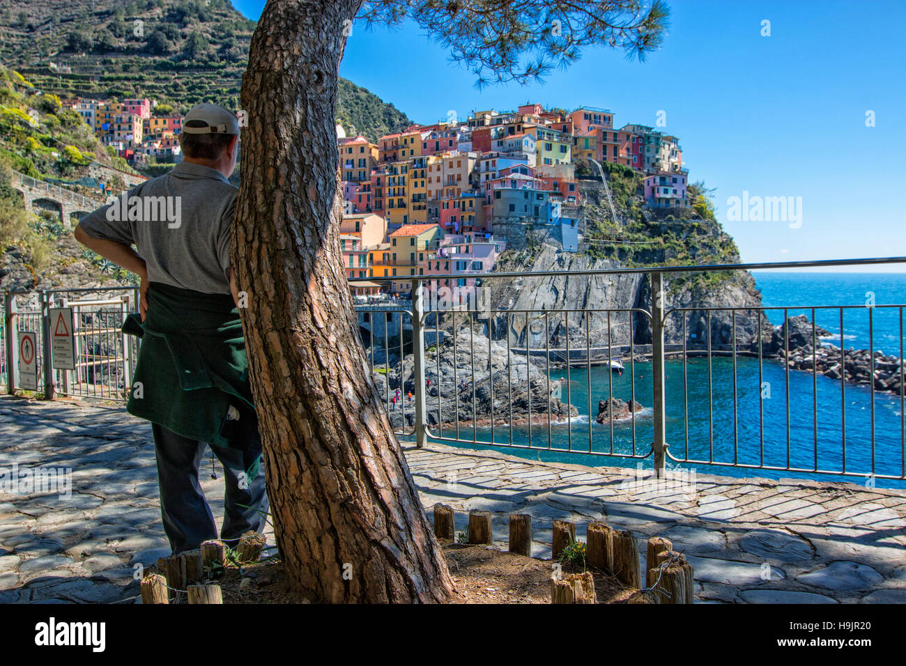 Manarola, Nationalpark Cinque Terre, Ligurien, Italien Stockfoto