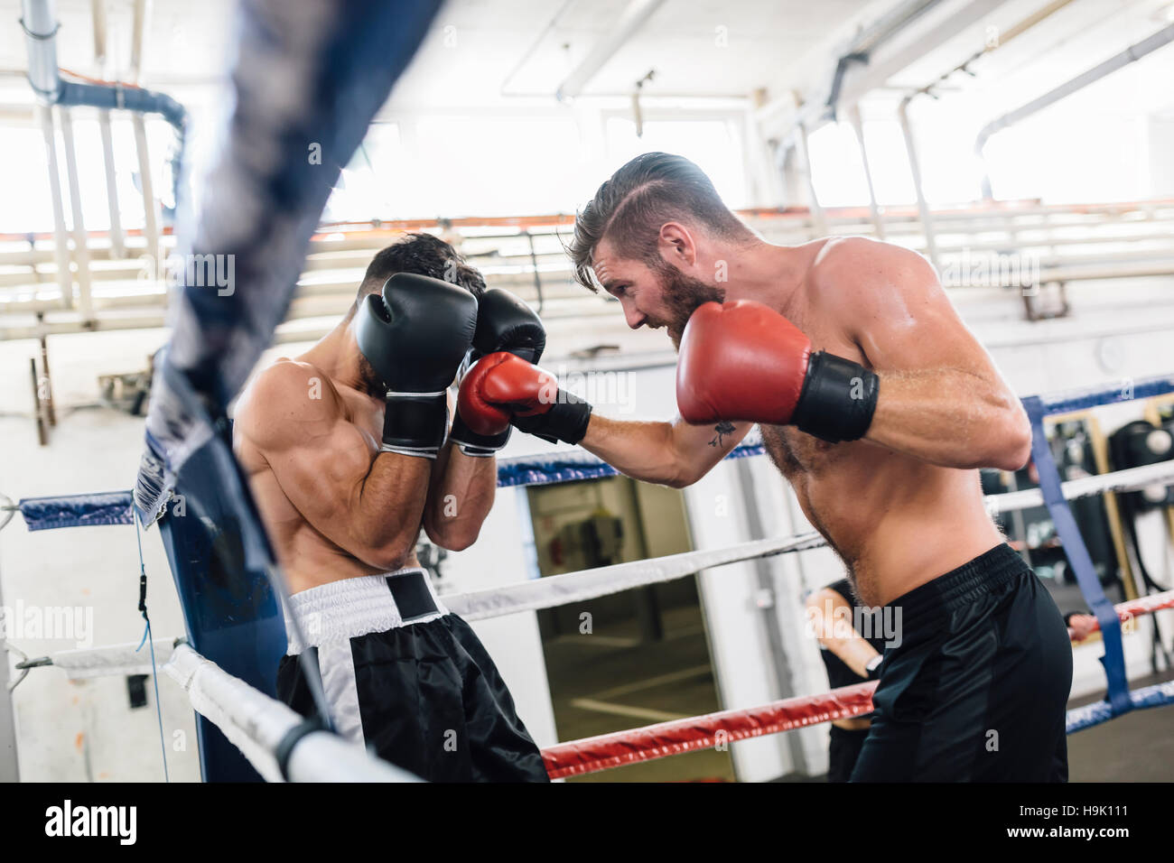 Zwei Boxer kämpfen im Boxring Stockfotografie Alamy