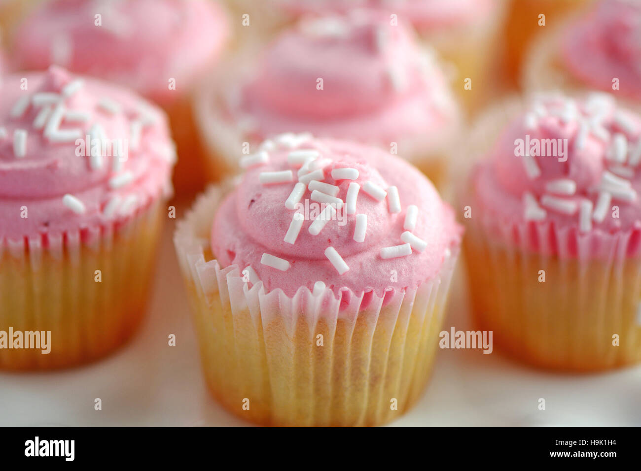 Zarte süße Mini Erdbeer-Cupcakes mit sehr geringe Schärfentiefe.  Selektiven Fokus auf mittleren Cupcake. Stockfoto