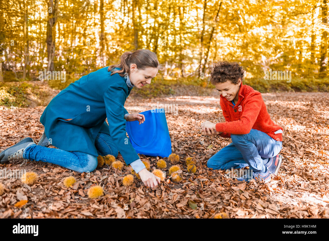 Mutter und Sohn sammeln Kastanien im herbstlichen Wald Stockfoto