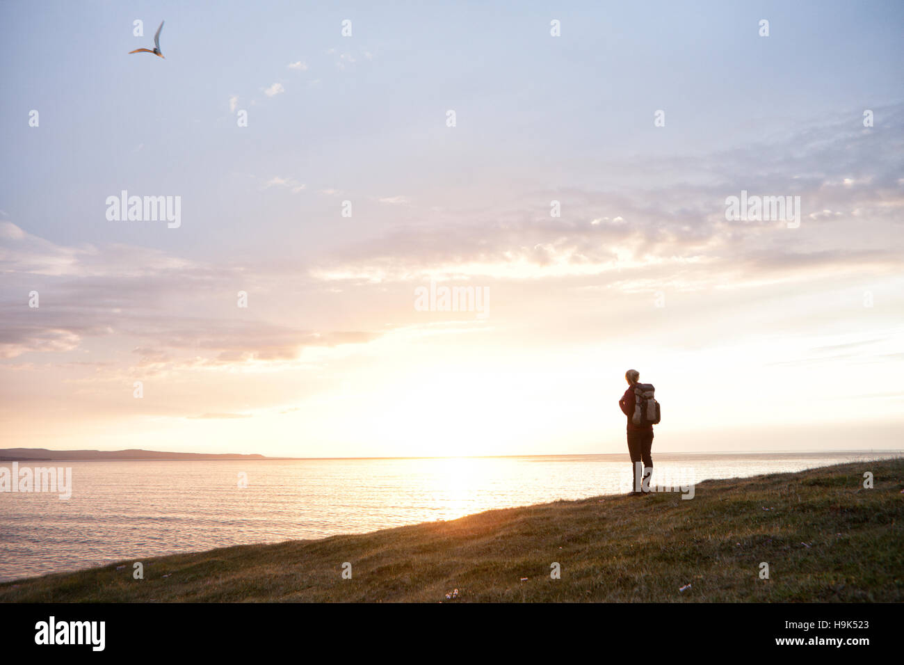 Island, Rückansicht der Wanderer betrachten von twilight Stockfoto