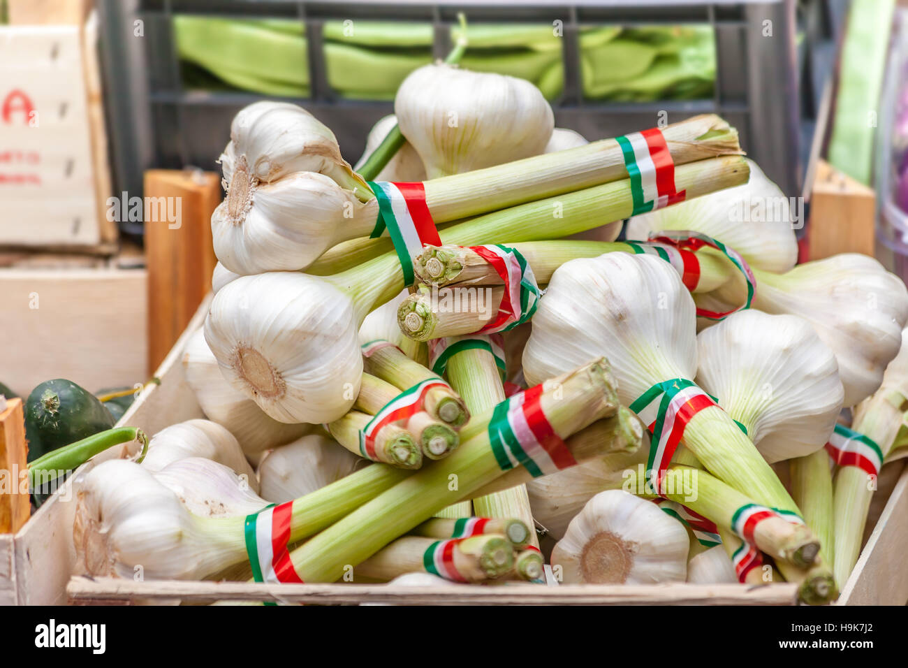 Italienische Knoblauch auf dem Markt in der alten Stadt Bozen, Südtirol, Italien Stockfoto