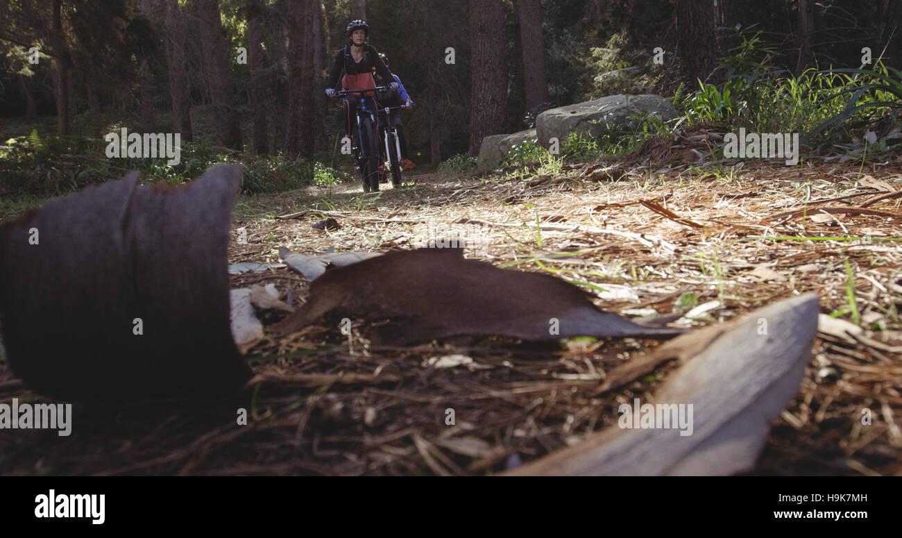 Biker-paar Reiten Mountainbike im Wald Stockfoto