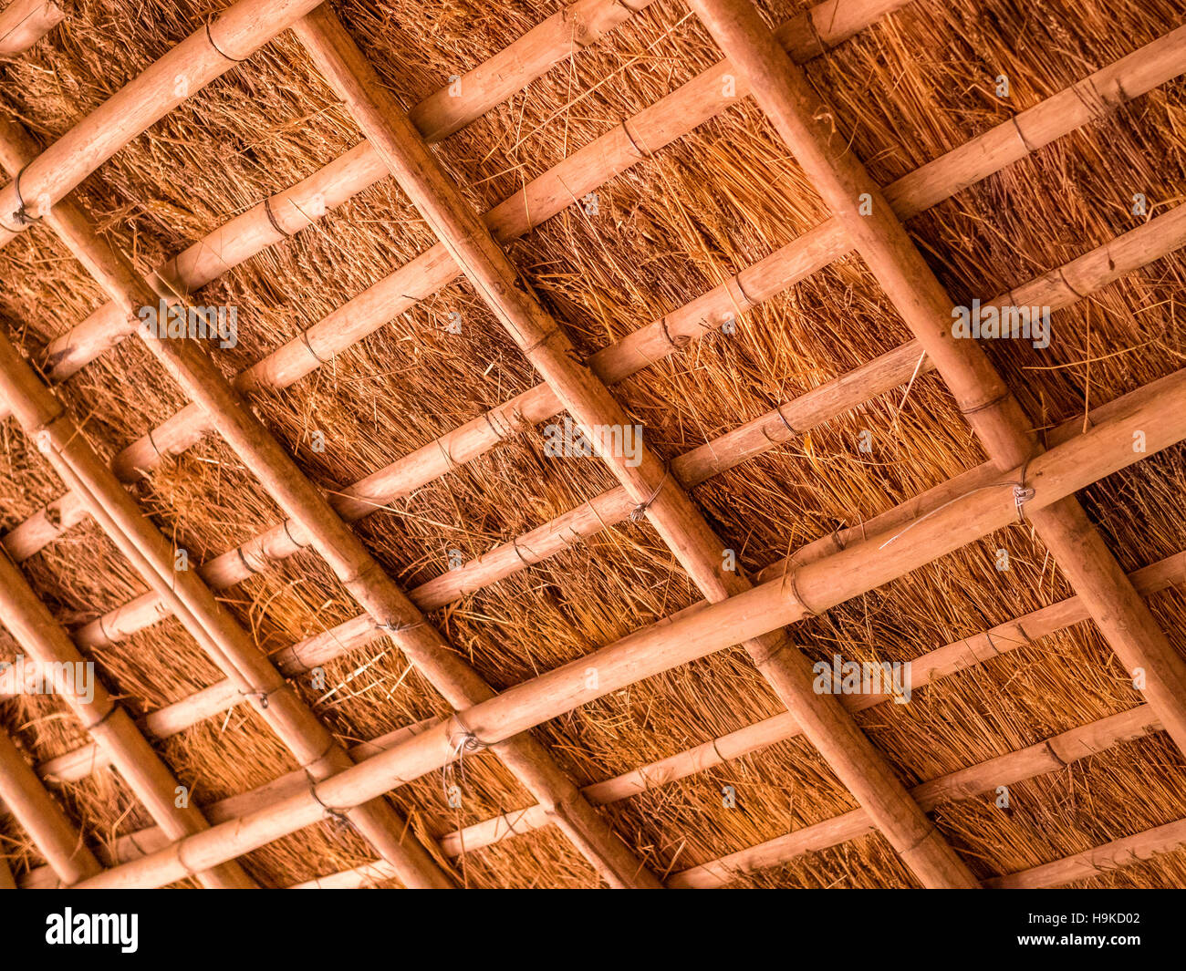 Detail der Strohdach aus Bambus und Stroh Stockfoto