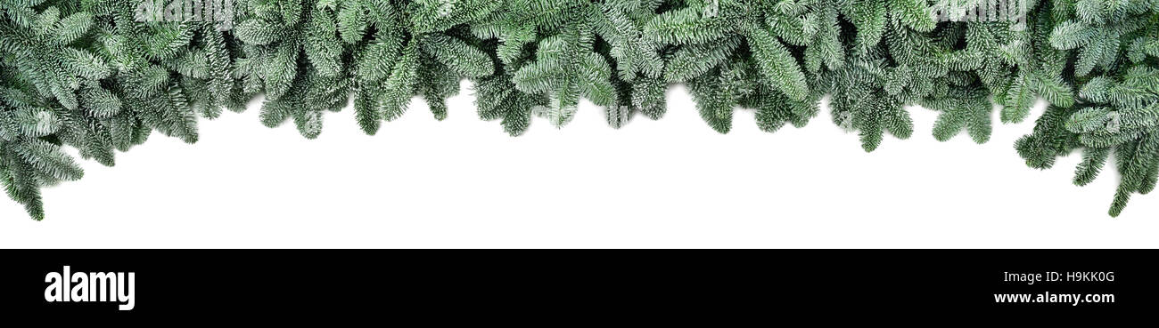 Breite Weihnachten Grenze angeordnet mit satiniertem Tannenzweigen isoliert auf weiss, geformt wie ein Bogen, Banner-format Stockfoto