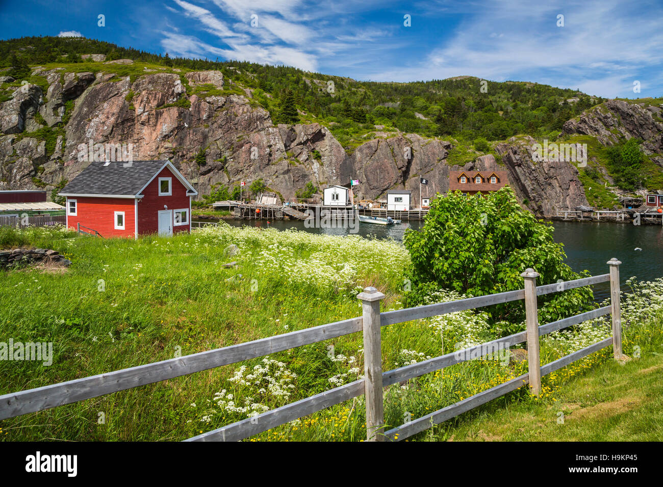 Das malerische Fischerdorf Dorf von Quidi Vidi in der Nähe von St. John's Neufundland und Labrador, Kanada. Stockfoto