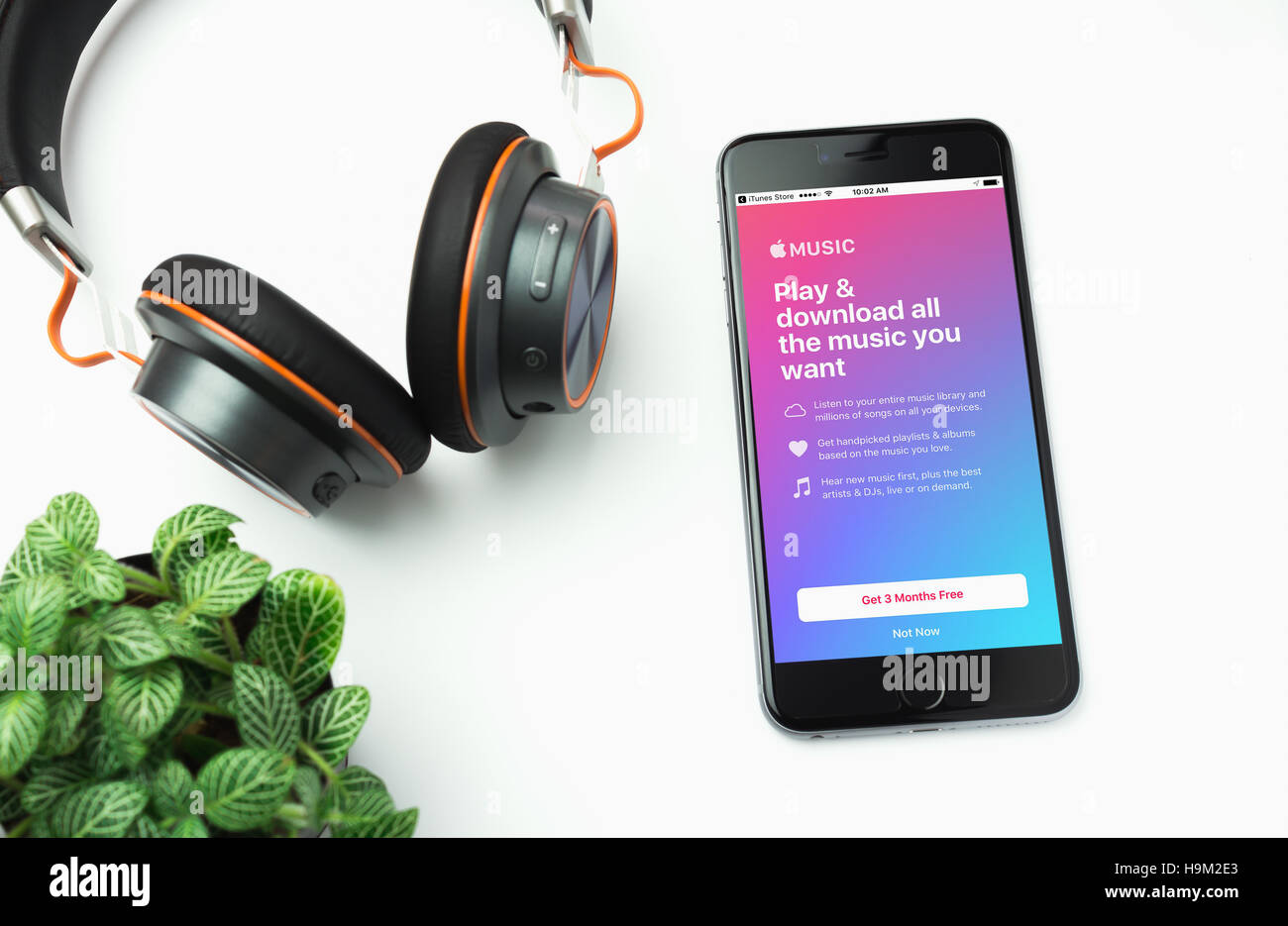 Bangkok, Thailand - 17. September 2016: Apple Musik App auf dem iPhone 6s Plus. Apple Musik ist das neue iTunes-basierte Musik streaming Service, den ein Stockfoto