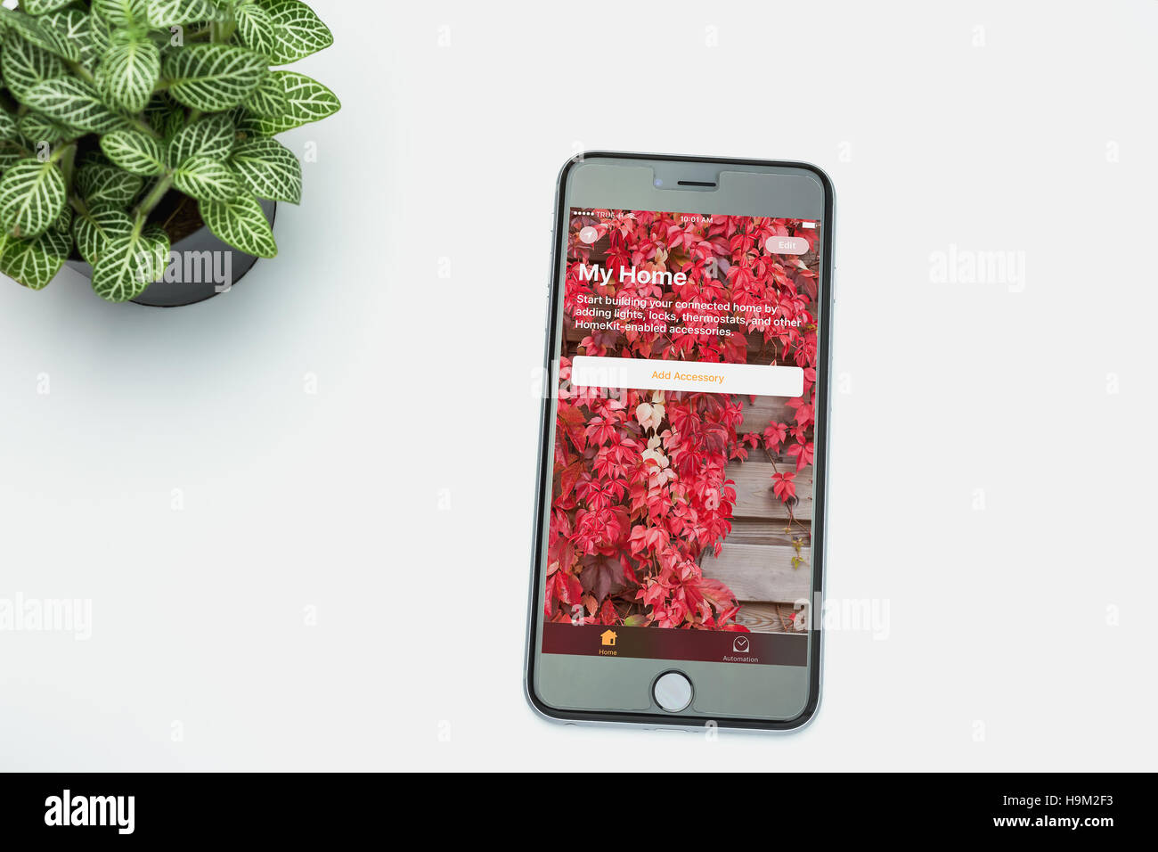 Bangkok, Thailand - 17. September 2016: Home smart Home für Iphone auf Ios 10. Die neue Home-app können Sie schalten Sie Licht, Iphone von Apple Inc entwickelt Stockfoto