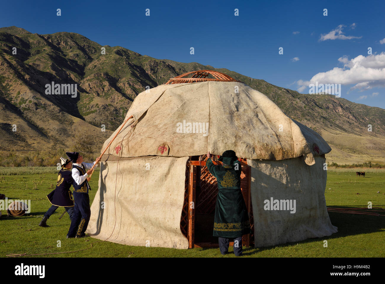 Männer in traditioneller Kleidung passen Wollfilz Abdeckungen über jurte Dachrahmen in bleiben Kasachstan Stockfoto
